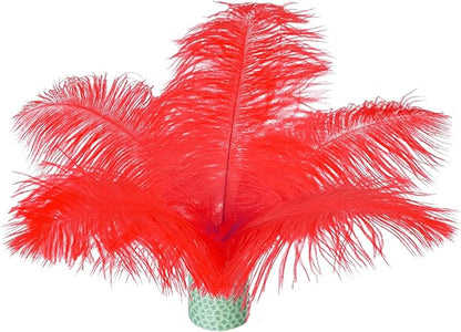 Piokio 20 pcs Natural Red Ostrich Feathers Plumes 8-10 inch(20-25 cm) Bulk for DIY Clothes, Feather Pens, Dream Catcher, Gatsby Decorations