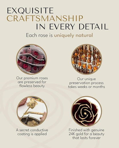 Forever Rose Hand-Dipped in 24K Gold, Garnet-Inspired January Birthstone with Sparkles, Real Rose in Leather Case with LED Light – Perfect Ready to Gift for January Birthday or Any Occasion