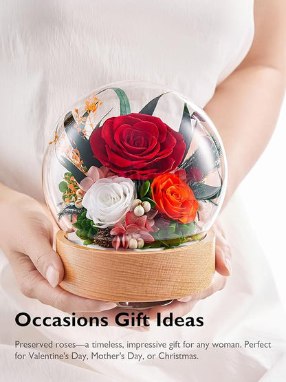 Eterfield Flowers for Delivery Prime, Christmas Preserved Roses Gifts for Women - Forever Flower in Glass Dome Birthday Gifts for Mom Wife Grandma Her Valentine’s Day (Red, Sphere)