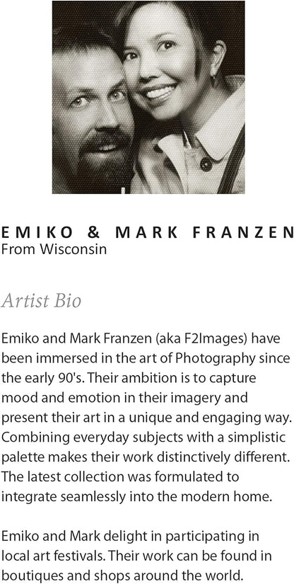 Kate and Laurel Sylvie Succulent 5 Framed Canvas by F2 Images, 18x24 Gray