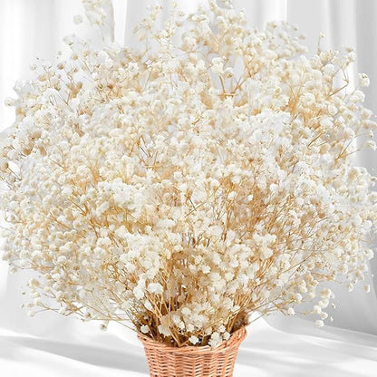 5000+ Dried Babys Breath Flowers Bulk - 17" Ivory White Dried Flower Bouquet, Real Natural Gypsophila Branches for Vase Filler, Wedding, Table Centerpiece, Home Decor, DIY Wreath Floral, Crafts