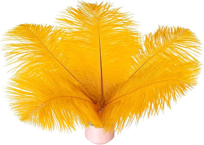 Piokio 20 pcs Gold Ostrich Feathers Plumes 8-10 inch(20-25 cm) Bulk for DIY Clothes, Feather Pens, Dream Catcher, Gatsby Decorations