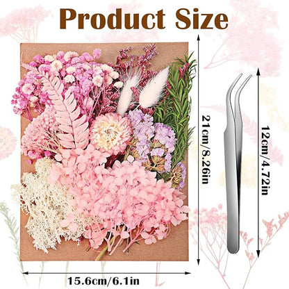Real Dried Flowers, Natural Dry Flowers Mixed Natural Pressed Flowers Flores Secas Dried Florals for Crafts,Resin,Candle Making (Pink)
