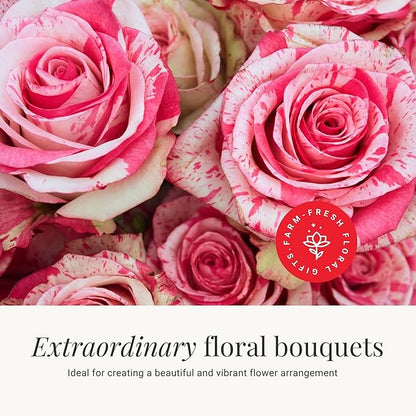 BloomsyBox - Bicolor Roses - 24 Long Stems, Long Lasting, Hand-Tied in Eco-friendly, Vase Not Included, Fresh Flowers for Delivery – Gift for Birthday, Anniversary, Get Well, Congratulations, Wedding