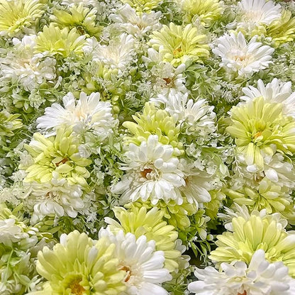 12 Pieces Artificial Daisy Flowers Wildflowers Bouquet for Table Vase Decor, Lifelike Fake Silk Spring Flowers, Perfectly Mimics Real Daisy and Spring Blooms (Green & White)