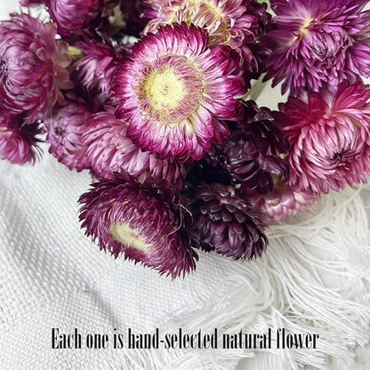 100% Natural Daisy Flowers, Dried Flower Bouquets-30Pcs Pink Daisies Chrysanthemums, 17 Inch Arrangements for Vase, Home Decoration Photo Props Parties and Weddings-Daisy Purple