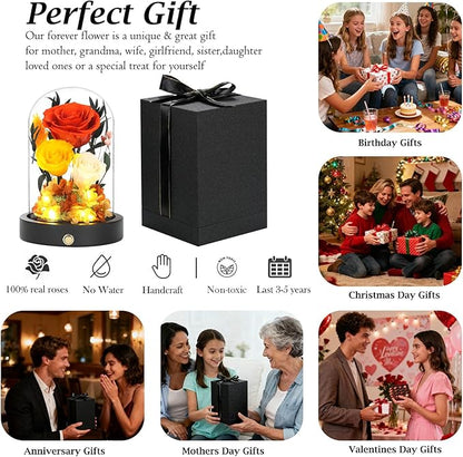 Christmas Flowers Gifts for Women Mom Preserved Roses in Glass Dome, Forever Flowers for Delivery Prime, Real Rose Valentines Day Anniversary Birthday Gifts For Her Mother Wife Grandma Orange