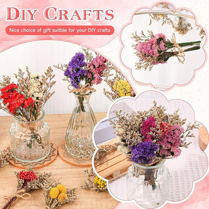 10 Pack Forget Me Not Dried Flowers Bouquets Natural Dry Flower with Stem Mini Dried Embossing Flower Dry Floral Arrangement for Vase, Crafts, Table Centerpieces, DIY, Photo Prop, Wedding, Home Decor