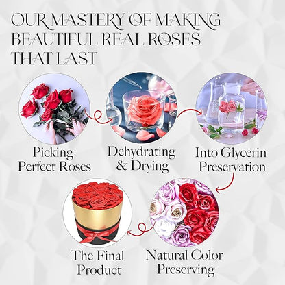 GLAMOUR BOUTIQUE Eternal Preserved Roses in a Box - Flowers Forever, Rose Forever in a Box for Wife, Birthday Gifts for Her, 7 Roses, Red