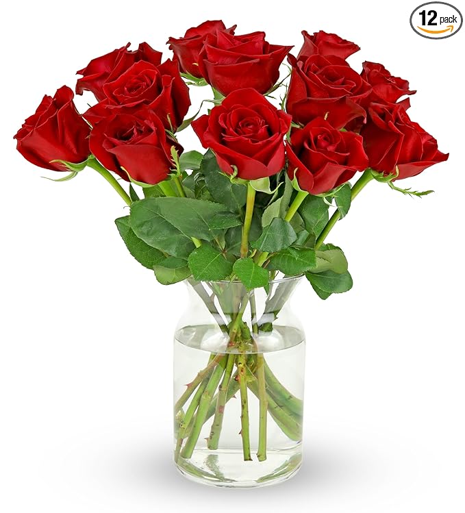 Benchmark Bouquets - 12 Stem Premium Red Roses (Glass Vase Included) - Fresh Flowers for Next Day Delivery - Gift for Christmas, Birthday, Anniversary, Sympathy, Get Well, Congratulations