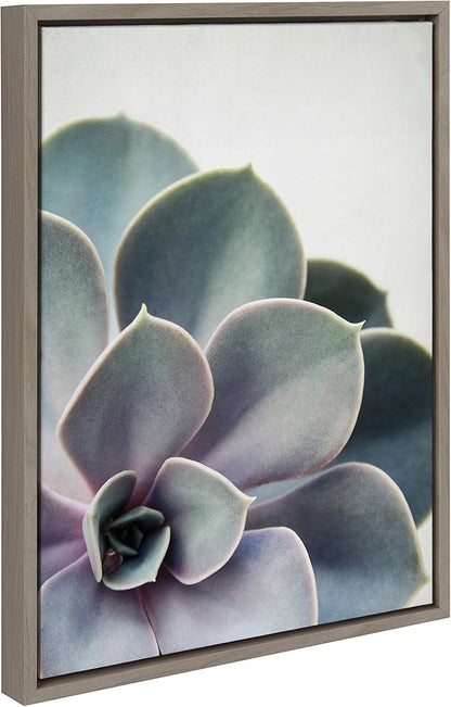 Kate and Laurel Sylvie Succulent 5 Framed Canvas by F2 Images, 18x24 Gray