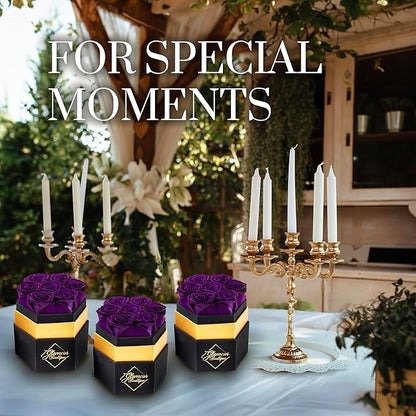 GLAMOUR BOUTIQUE Eternal Preserved Roses in a Box - Flowers Forever, Rose Forever in a Box for Wife, Birthday Gifts for Her, 7 Roses, Purple