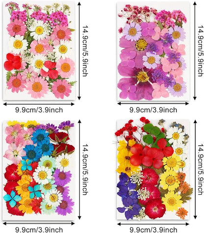 Augshy 141Pcs Dried Pressed Flowers for Resin, Natural Dried Flowers Real Pressed Flower for Crafts, Resin Mold Scrapbooking, Candle, Soap Making DIY, Epoxy Resin Supplie