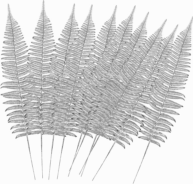 CATTREE Artificial Silver Plants Tall Fern Leaves 23" 10 Pack, Fake Boston Ferns Plant Decorations Plastic Faux Foliage Shrubs Large Leaf for Party Wedding Table Centerpiece Bouquet DIY Silvery Décor
