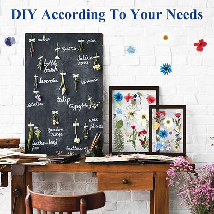 Nuanchu 167 Pcs Real Dried Pressed Flowers Natural Dried Flowers Colorful Daisy Mixed Wildflowers Leave for DIY Candle Resin Nails Jewelry Pendant Crafts Floral Art (Multicolor,Formal Style)