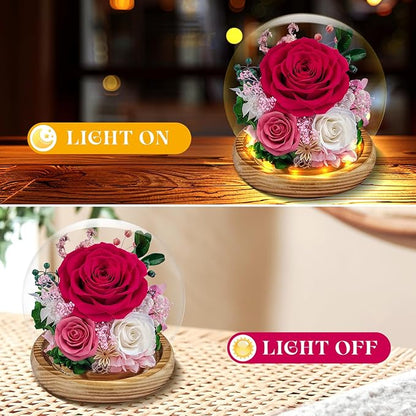 Preserved Roses Forever Flowers in Glass - Birthday Gifts for Women Mom, Real Flowers for Delivery Prime | Rose Gift for Grandma Wife Sister Friend (Mix Fuchsia)