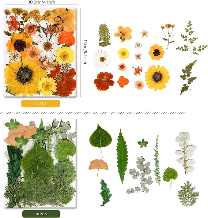 6 Pack 150PCS Real Pressed Dried Flowers Dry Leaves Craft Kit - Natural Dried Flowers for DIY Crafts, Resin Jewelry, Cards, Soap, CandleMaking, Nail Art, and Scrapbooking (Colorful)