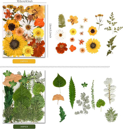 6 Pack 150PCS Real Pressed Dried Flowers Dry Leaves Craft Kit - Natural Dried Flowers for DIY Crafts, Resin Jewelry, Cards, Soap, CandleMaking, Nail Art, and Scrapbooking (Colorful)