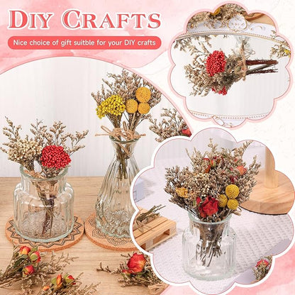 10 Pack Dried Flower Bouquets Natural Rose Billy Balls and Rice-Flower Combination Dried Embossing Flower Bundles with Stem Dried Floral Arrangement for Vase, DIY, Crafts, Wedding Party, Home Decor