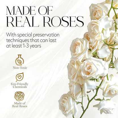 GLAMOUR BOUTIQUE Flowers Forever Gift Box 12 Real Preserved Roses in a Velvet Black Box, Birthday Gift for Her Mom and Wife, Mothers Day, Anniversary, Graduation - White