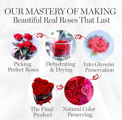 GLAMOUR BOUTIQUE 7 Flower Forever Heart Shape Box - Preserved Roses Gift for Her, Preserved Flowers, Red
