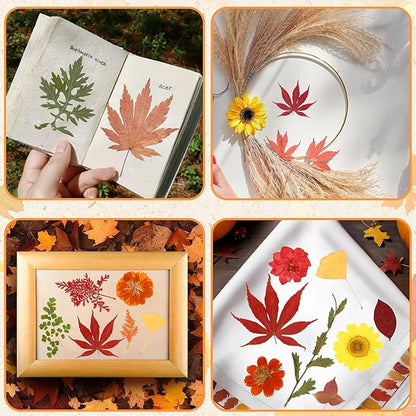 Augshy Fall Dried Pressed Flowers Orange Pressed Fall Leaves for Crafts Resin Molds Real Red Brown Yellow Pressed Leaves for Scrapbooking, Epoxy Resin Supplies