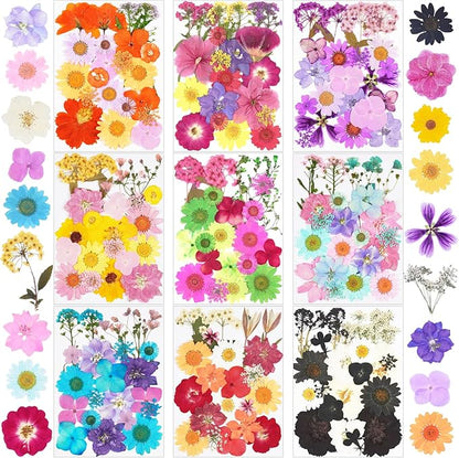 190Pcs Dried Pressed Flowers for Crafts,Xinxinran Dry Flower Kit for Resin Molds,Epoxy Resin Accessories,Bookmark,Nails, Jewelry Molds,Candle Making Supplies,Soap,Frame(Bright Color)