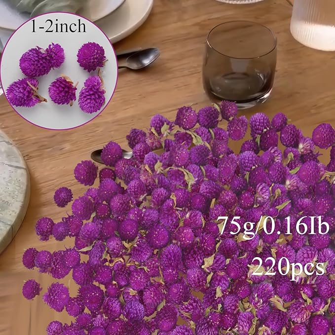 220 Pcs Dried Flowers Heads for Crafts Purple Globe Amaranth Natural Dried Gomphrena Globosa Flower Bulk Dry Flower Arrangements for Wedding Decor Home Party Headband DIY