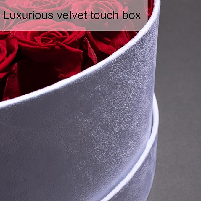 50 Piece Roses in a Velvet Box, Flowers for Delivery, Presereved Flowers Birthday Gifts for Women Mom and Wife (Dusty Rose)