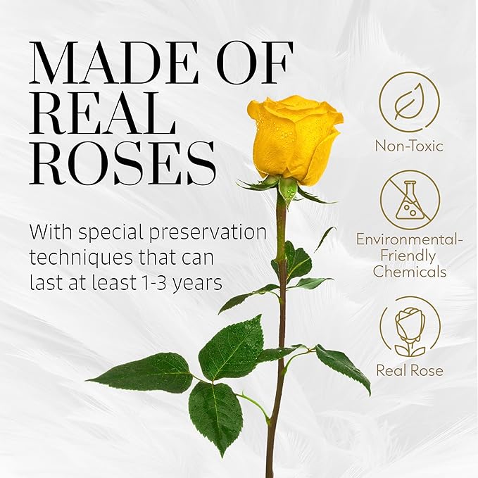 GLAMOUR BOUTIQUE Eternal Preserved Roses in a Box - Flowers Forever, Rose Forever in a Box for Wife, Birthday Gifts for Her, 7 Roses, Yellow