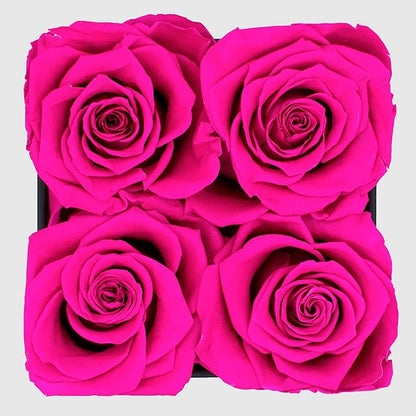 Graceful Fleurs | Real Long Lasting Roses for Years | Preserved Fresh Flowers for Delivery Birthday | Birthday Gifts for Women | Forever Roses in a Box (Radiant Pink, Black Box, 4 Roses)