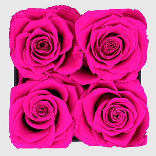 Graceful Fleurs | Real Long Lasting Roses for Years | Preserved Fresh Flowers for Delivery Birthday | Birthday Gifts for Women | Forever Roses in a Box (Radiant Pink, Black Box, 4 Roses)