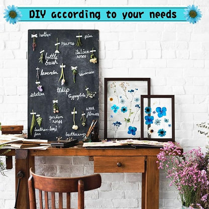Nuanchu 167 Pcs Real Dried Pressed Flowers Natural Dried Flowers Colorful Daisy Mixed Wildflowers Leave for DIY Candle Resin Nails Jewelry Pendant Crafts Floral Art(Blue,Novelty Style)