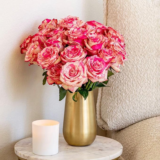 BloomsyBox - Bicolor Roses - 24 Long Stems, Long Lasting, Hand-Tied in Eco-friendly, Vase Not Included, Fresh Flowers for Delivery – Gift for Birthday, Anniversary, Get Well, Congratulations, Wedding