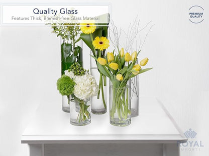 Royal Imports Flower Glass Vase Decorative Centerpiece for Home or Wedding - Cylinder Shape, 12" Tall, 6" Opening, Clear