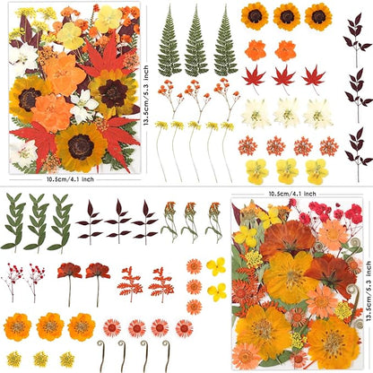120 Pcs Dried Pressed Flowers for Crafts, Real Natural Flowers in Vibrant Yellow, Orange & Red Tones for Resin, DIY Art, Jewelry, Scrapbooking & Candle Making – Tweezers Included
