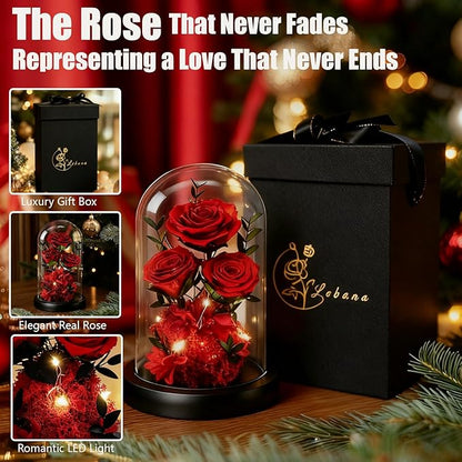 Birthday Gifts for Women Mom Fresh Flowers for Delivery Prime Forever Preserved Rose in Glass Dome Gifts for Her Girlfriend Grandma Daughter Wife Valentines Mothers Day Christmas Anniversary-Red