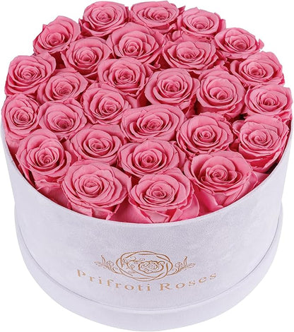 27 Flowers in a Luxury Suede Box, Birthday Gifts for Women, Preserved Flowers, Mothers Day Roses Gift for Mom, Light Pink