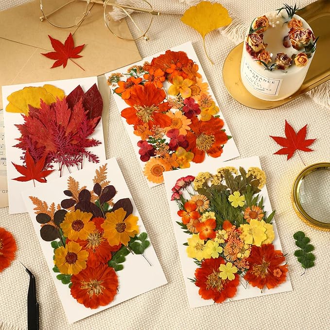 Augshy Fall Dried Pressed Flowers,100 Pcs Autumn Dried Flowers Leaves for Resin Molds Real Pressed Flowers for Crafts DIY Jewelry Molds, Scrapbooking, Candle