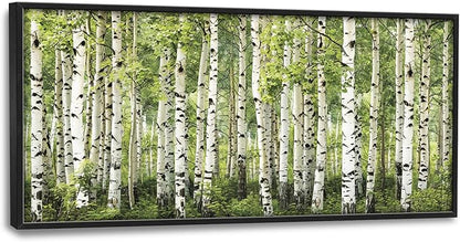 Extra Large Birch Tree Framed Wall Art for Living Room,Oversized Green Aspen Trees Forest Pictures Wall Decor,Canvas Print Painting Modern Artwork Bedroom Office Bathroom 60L x 30W