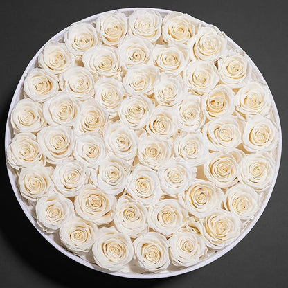 50 Piece Roses in a Velvet Box, Flowers for Delivery, Presereved Flowers Birthday Gifts for Women Mom and Wife (Off-White)