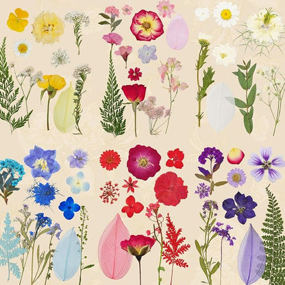 150 Pcs Dried Pressed Flowers for Resin,Real Nature Dried Flowers for Crafts Bulk Dry Flowers Leaves Kit Used for Resin Molds Scrapbooking DIY Art Crafts Candle Soap Making Décor