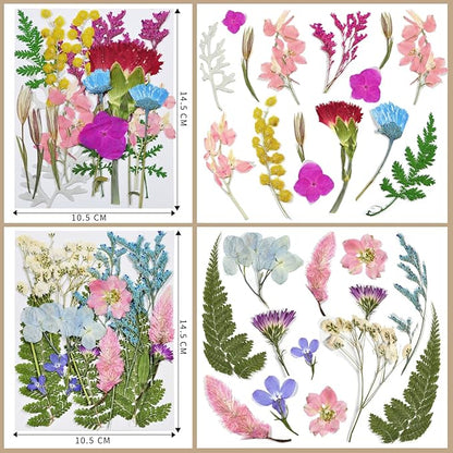 CONVELIFE Dried Flowers , 72pcs Natural Pressed Flowers and Leaves with Tweezers, Pressed Flowers for Epoxy, Jewelry, Candles, Soap, Nail Production