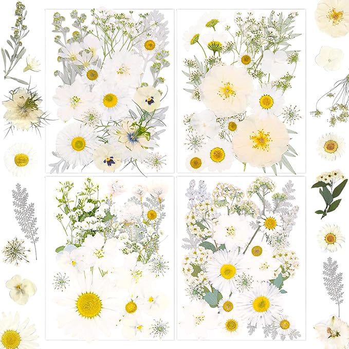 95 Pcs White Pressed Dried Flowers for Resin, Real Natural Bulk Dry Wildflowers Leaves Perfect for Epoxy Molds, DIY Crafts, Home Decor, Soap Candles Jewelry Making