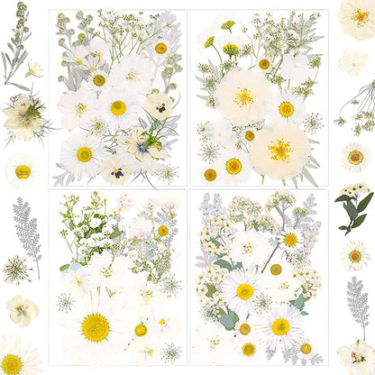 95 Pcs White Pressed Dried Flowers for Resin, Real Natural Bulk Dry Wildflowers Leaves Perfect for Epoxy Molds, DIY Crafts, Home Decor, Soap Candles Jewelry Making