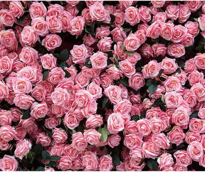 10x7ft Floral Backdrop for Party Photoshoot Pink Rose Flowers Wedding Birthday Bridal Shower Flower Wall Decorations Photography Background