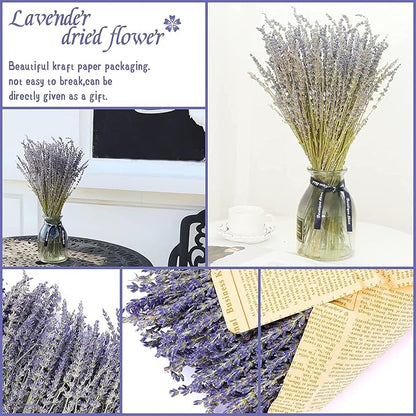 Dried Lavender Flowers Bundles 100% Natural Real Dry Flower for Home Decorations,Home Fragrance 350+ Stems
