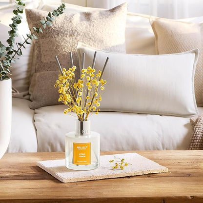 Airkeep Reed Diffuser Set,3.38 fl oz (100 ml) - Citrus Lemon Oil Diffusers with 8 Reed Sticks, Home Fragrance Reed Diffuser for Bathroom Shelf Decor