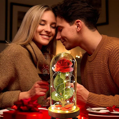 Christmas Birthday Gifts for Women,Beauty and The Beast Rose in Glass Dome,Silk Rose Forever Flowers with Lights,Mom Gift,Romantic Gifts for Her,Anniversary Flower Gifts for Women,Gifts for Girlfriend