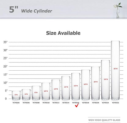 WGV Cylinder Vase, Diameter 5", Height 16", Clear Glass Floral Planter Container, Tall Centerpiece Arrangement for Wedding Party Event Home Office Decor, 1 Piece